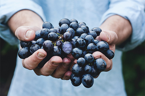 A grape that looks like Joel McHale